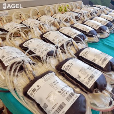 Levická nemocnica bojuje s nedostatkom krvi  Pomôžte a príďte darovať krv